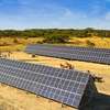 Energy & Sustainability Solutions in Nairobi & Surrounding thumb 6