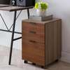 Office Cabinet; Advanced Trendy Office Cabinet(3- Drawer) thumb 0