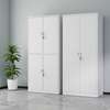 Cabinets : 2 Door Metallic Office Cabinet thumb 8
