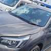 Subaru Forester E-boxer Grey 2018 thumb 2