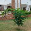 BEACH VILLA FOR SALE IN DIANI thumb 5