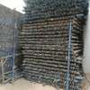 Safe Cup lock system scaffolding thumb 2