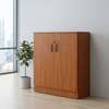 2-Door Wooden Credenza thumb 0