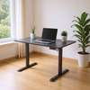 Standing Desk; Electric Height Adjustable Standing Desk thumb 0