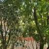 5BR All-Ensuite Townhouse + DSQ for Sale thumb 10