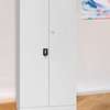 OFFICE CABINET: Two Door Full Glass Office Cabinet thumb 0