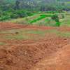 Prime 50x100 Plots near Tarmac Road in Nachu-Ndiguini Road thumb 0