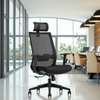 Office Chairs:Ergonomic High-Back Office Chair In Suneka thumb 2