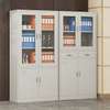 Office Cabinet: 2-Door Steel Frame Cabinet in Modern Style thumb 0