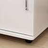 Storage Cabinets: Moveable Lumber Office Storage Cabinet thumb 1
