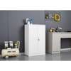 Office Cabinet: Cabinet With Locking Door & Adjustable Shelf thumb 2