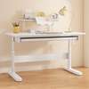 Adjustable Desk 1.2m Office Desk thumb 0