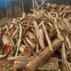 Dry Firewood thumb 2