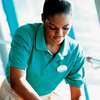 Chef/Cooks, Housekeepers, Gardeners, Drivers & Chauffeurs, Domestic Helpers, Carpet Cleaning ,Curtain Cleaning, Cleaners & Garden Services in Nairobi. thumb 9