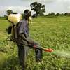 Fast Pest Control & Fumigation Thindigua | Kiambu Road thumb 0