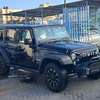 JEEP WRANGLER black thumb 5