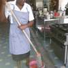 Hire Reliable,Skilled Domestic Workers You Can Trust-Kisumu thumb 0