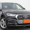 2019 AUDI Q5 thumb 1