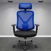 Office Chairs : Ergonomic Executive Office Chair thumb 0