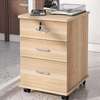 Storage Cabinets: Moveable Lumber Office Storage Cabinet thumb 4