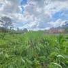 Residential Land in Runda thumb 2