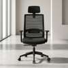 Office Chairs:Ergonomic High-Back Office Chair In Suneka thumb 0