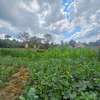Residential Land in Runda thumb 3