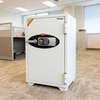 122KGS Diplomat Fireproof Safe thumb 5