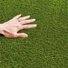 Carpet: 1000mm Green Office Carpet In Bomet thumb 6