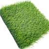Carpet: 1000mm Green Office Carpet In Bomet thumb 3