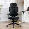Ergonomic Orthopedic Office Chair thumb 0