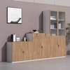 Storage Cabinets: Credenza Office Storage Cabinet thumb 6