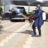 Pest Control and Fumigation Services Kasarani thumb 3