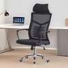 Adjustable Ergonomic Mesh Computer Chair thumb 0