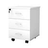 File Cabinet: Rolling Flat File Drawer With Lock 2 Keys thumb 1