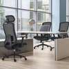 Office Chairs: Ergonomic Lifting Study Chair thumb 4