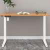 Electric Desk; 1.4 Electric Standing Desk thumb 12