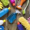 Best Domestic & Househelp in Nairobi & Kiambu & Thika thumb 8