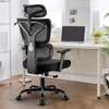 Office Chairs: Lumbar Support Office Chair With Headrest thumb 0