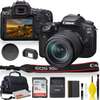 Canon EOS 90D DSLR with 18-135mm Lens thumb 1