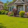 Expert Lawn Mowing & Garden Maintenance Limuru Tigoni thumb 6