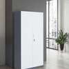 Cabinets : Full Door Office Storage Cabinet thumb 3