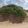 Malindi beachside plots — 50×100 ft. From KES 2M per plot thumb 9