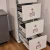 4 Drawer Diplomat Storage Cabinet thumb 6
