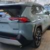 Toyota Rav4 Adventure 2019 4WD thumb 1