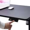 Office Desk; Posh Ergonomic Electric Standing Desk thumb 5