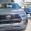 Toyota Hilux Double cabin Grey 2021 thumb 0