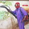 CHEAP Bed Bug Fumigation Services in Kiambu,Thika,Limuru thumb 0
