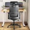 Office Chair: High Back Orthopedic Chair For Office Comfort thumb 6