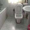 Trusted Plumbers & Handyman Services Kiambu Road Nairobi thumb 2